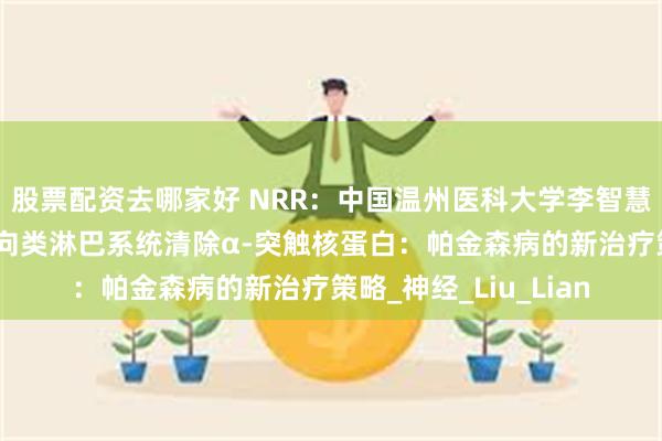 股票配资去哪家好 NRR：中国温州医科大学李智慧/陈江帆团队总结靶向类淋巴系统清除α-突触核蛋白：帕金森病的新治疗策略_神经_Liu_Lian