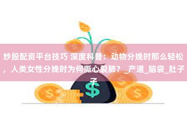 炒股配资平台技巧 深度科普：动物分娩时那么轻松，人类女性分娩时为何撕心裂肺？_产道_脑袋_肚子